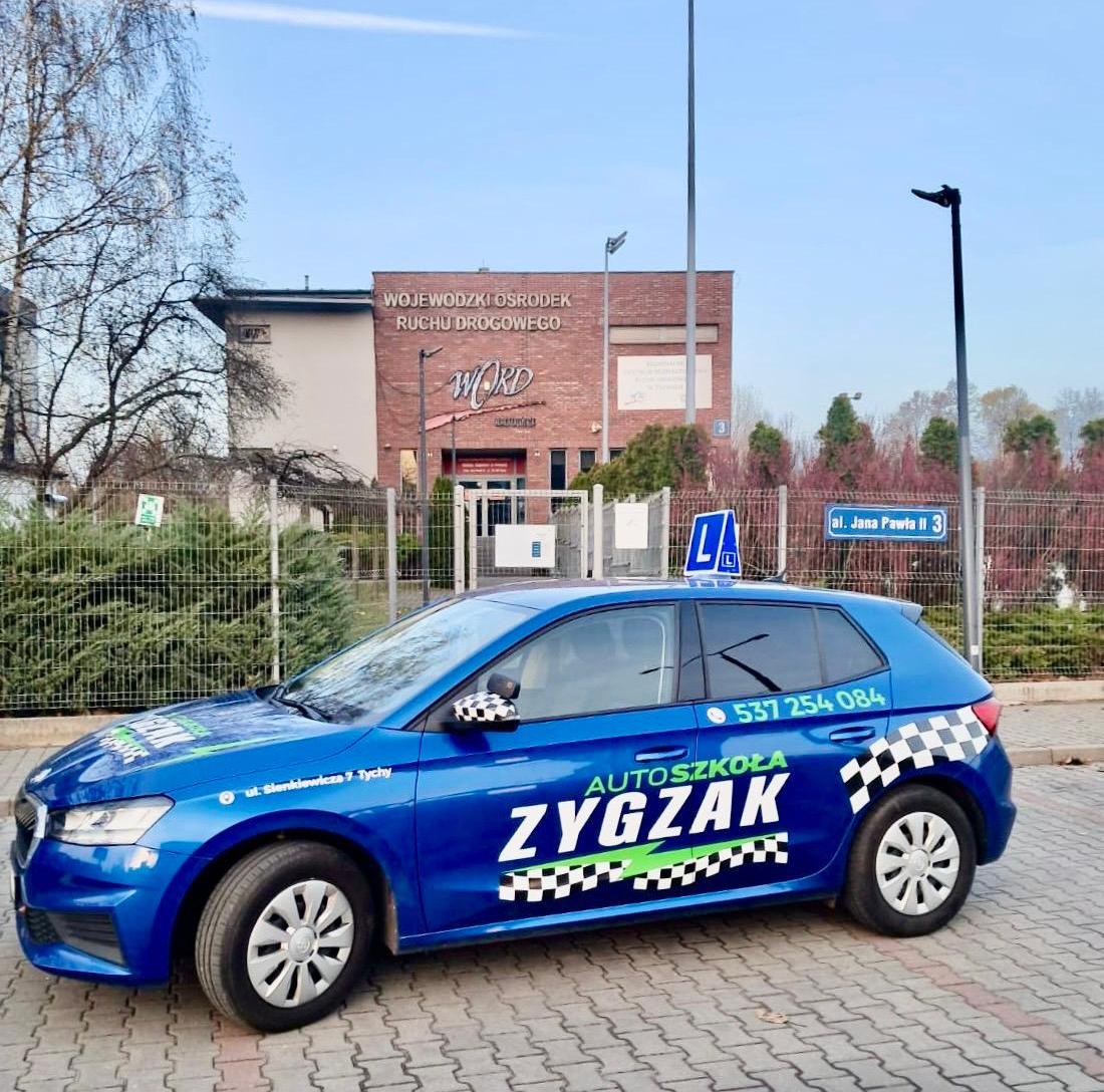 zygzak zdjęcie word